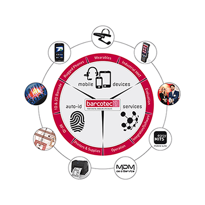 Your path to digital evolution