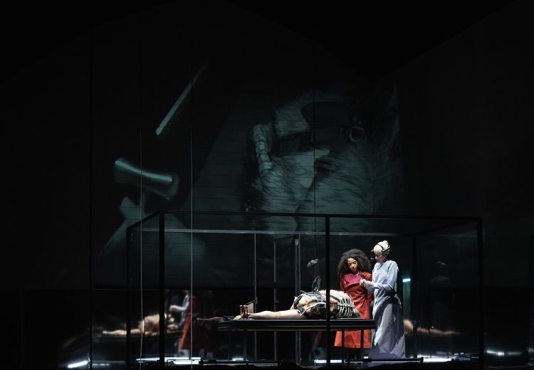 RealWear Navigator at the Burgtheater
