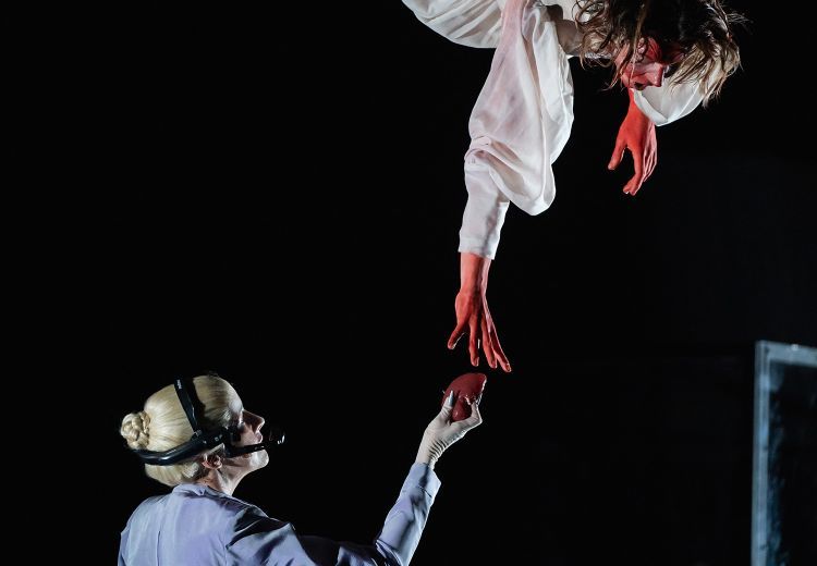 RealWear Navigator at the Burgtheater
