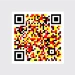 QR code for blockchain applications